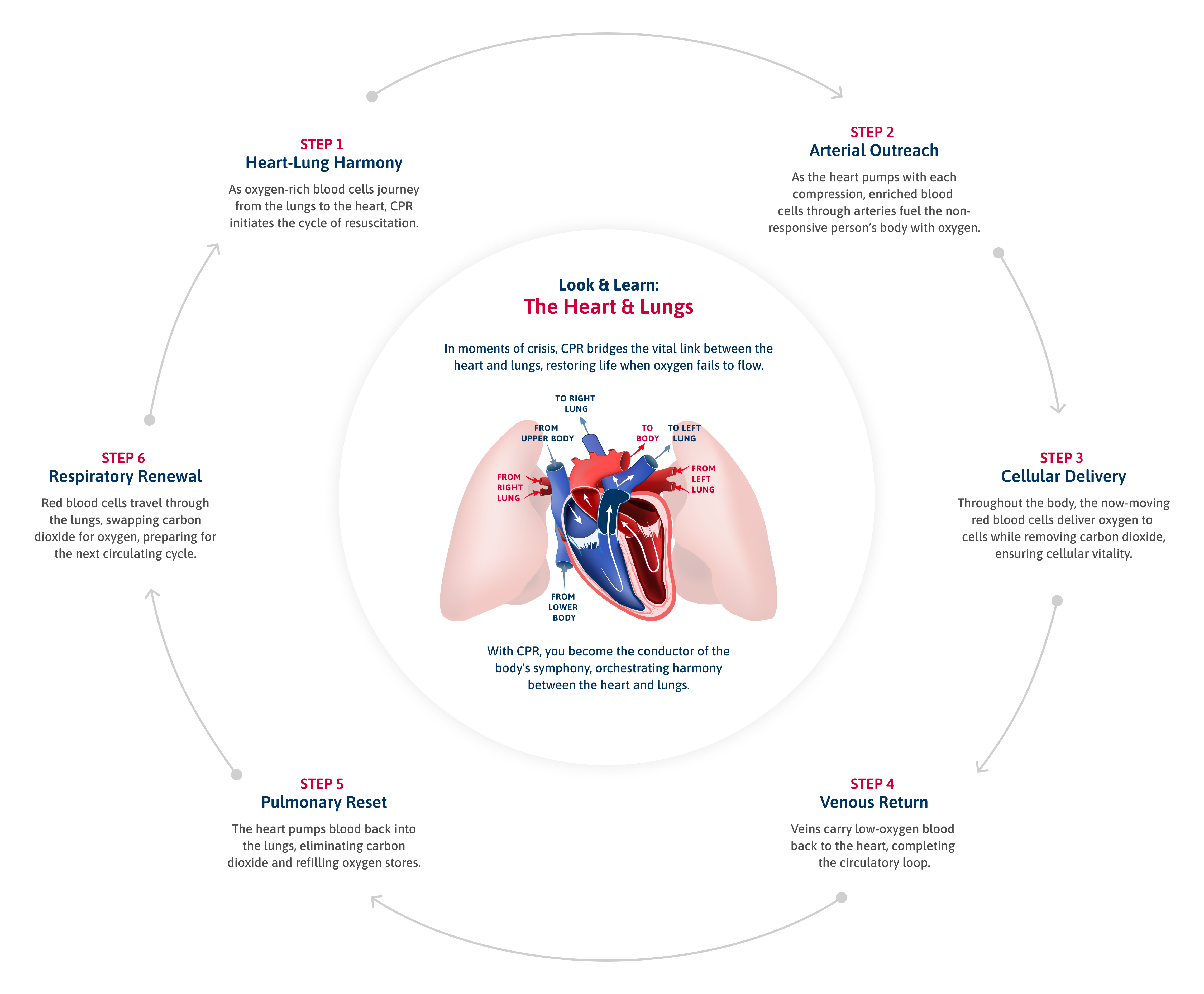 ProTrainings What Does CPR Stand For & Where Can You Learn More About CPR Training?